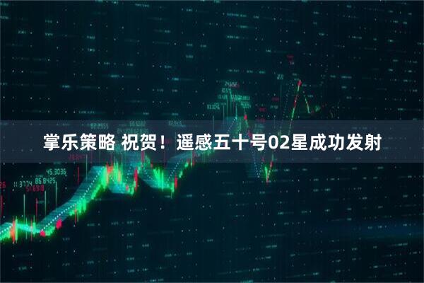 掌乐策略 祝贺！遥感五十号02星成功发射