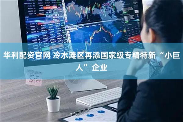 华利配资官网 冷水滩区再添国家级专精特新 “小巨人” 企业