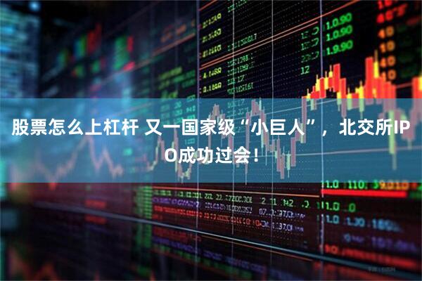 股票怎么上杠杆 又一国家级“小巨人”，北交所IPO成功过会！