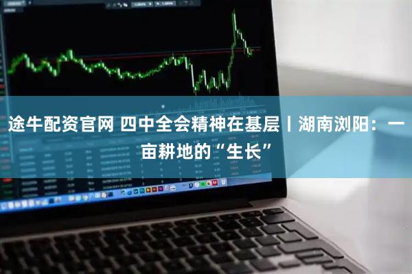 途牛配资官网 四中全会精神在基层丨湖南浏阳：一亩耕地的“生长”